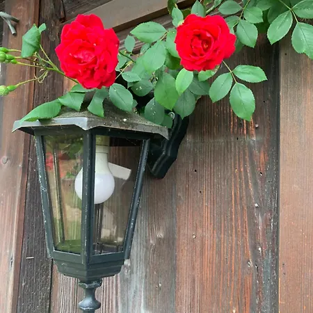 Gemuetliches Chalet-zimmer In Rosalie Kwatera prywatna Brunnadern