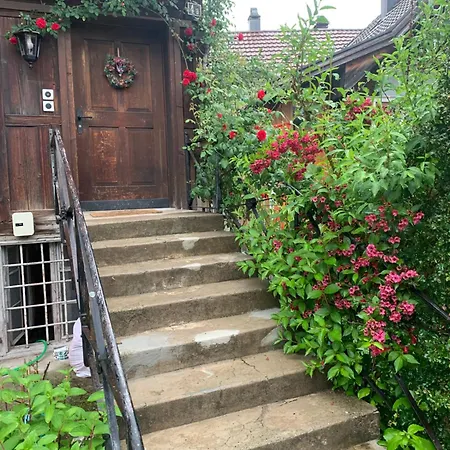 Gemuetliches Chalet-Zimmer Mit Garten Homestay *