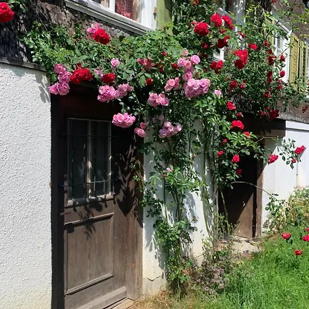 Gemuetliches Chalet-zimmer Mit Badeplatz Im Fluss Проживание в семье *
