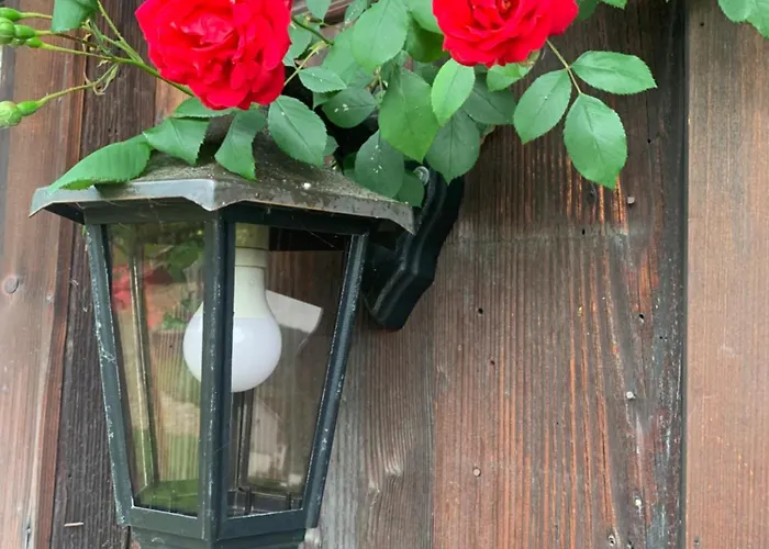 Gemuetliches Chalet-zimmer In Rosalie ホームステイ Brunnadern