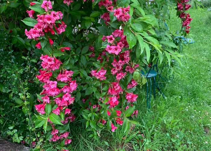 منزل للإقامة Gemuetliches Chalet-zimmer In Rosalie Brunnadern