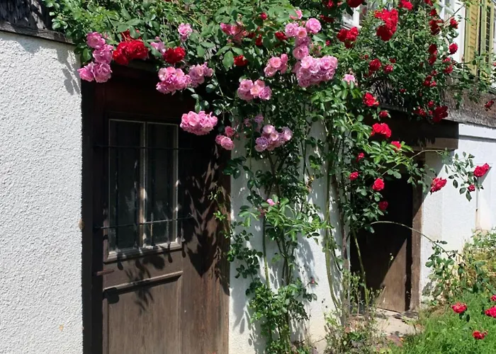 Gemuetliches Chalet-zimmer In Rosalie ホームステイ *